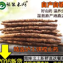 農產品批發市場中的山藥產業鏈解析 從產地廠家到終端消費