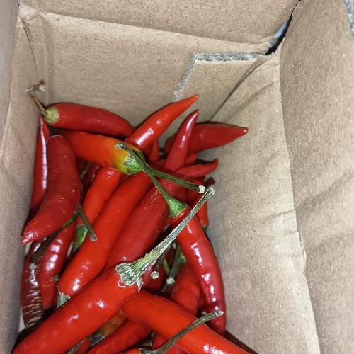 食用農(nóng)產(chǎn)品批發(fā)市場的當月熱門品種與包裝方式分析